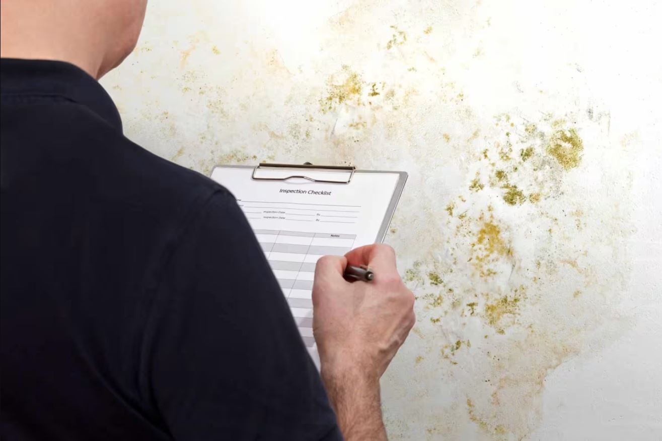 Mold testing services included